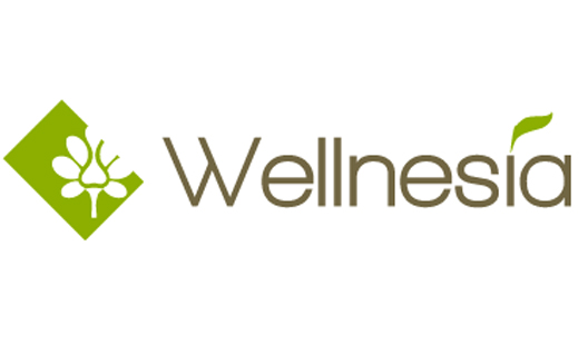 Wellnesia to Indulge Dubai with New Spa and Beauty Hub