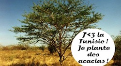 In Tunisia, an entrepreneur fights desertification and creates spaces for women to succeed