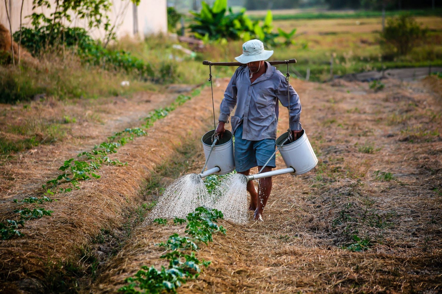 Jordan's Ghoorcom looks to boost farmers’ profits through technology