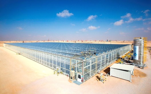Oman explores solar-powered oil recovery