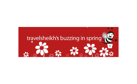 موقع التجارة الإلكترونية Travel Sheikh: نموذج جيد للشركات التي قررت دخول عالم الإنترنت