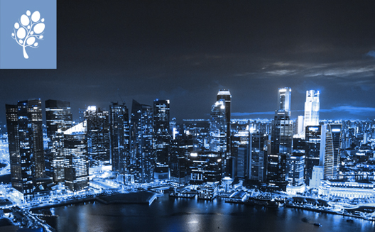 Hatcher announces new seed and Series A funding for MENA startups