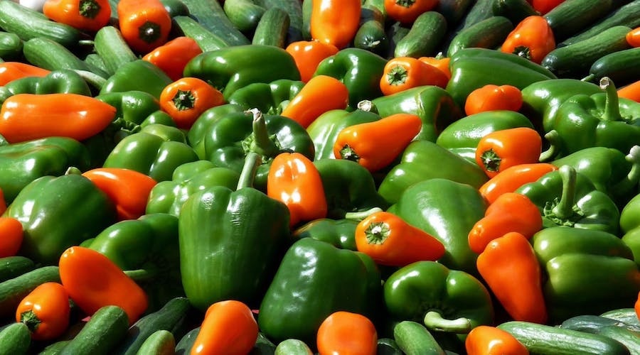 Morocco’s Waystocap raises $3M in seed funding