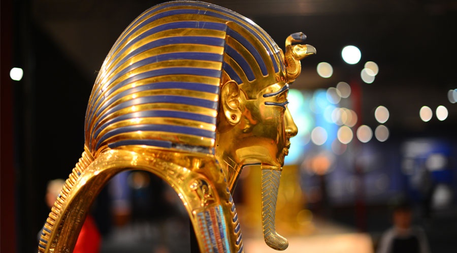 Startup Watch: Message from the Pharaohs, zombie startups, and indoor farming
