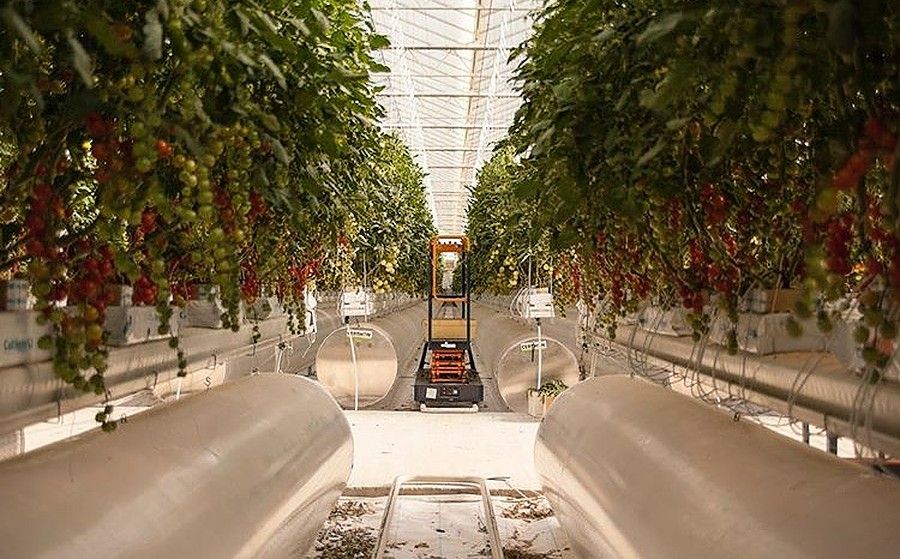 Pure Harvest raises $1.75 million