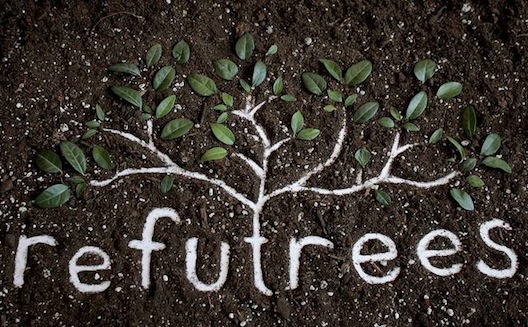 Startup in Palestine launches crowdfunding campaign for rooftop farming in refugee camps