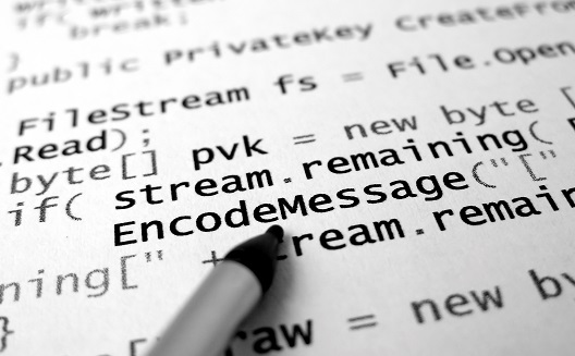 Should entrepreneurs know how to code?